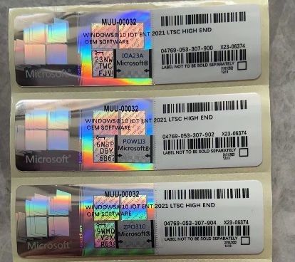 Windows 10/11 IOT ENT 2024 LTSC Software Voor Windows 10 11 ENT 2019 2021 2024 LTSC Meertalige wereldwijde online activering